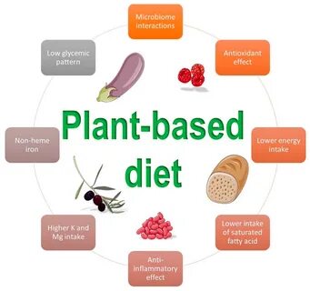 Plant based