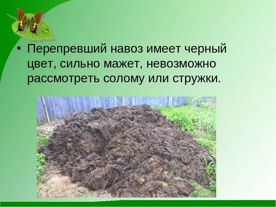 Курнул но вроде не навоз как называется. Навоз перегной. Виды перегноя. Навоз, перегной, компост. Различия перегноя и компоста.