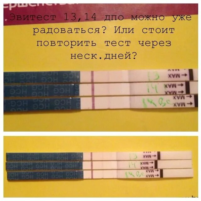 Через сколько тест покажет беременность после. Эвитест по дням цикла. тест после задержки. тесты по дням цикла. тесты на беременность по дням.
