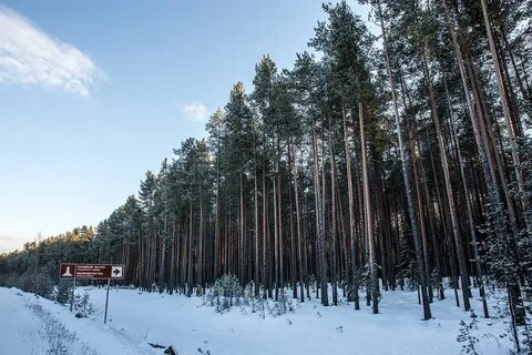 Красных карелия