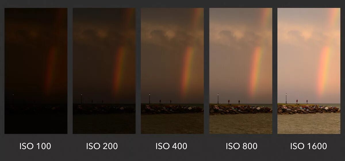 Уровни экспозиции. ISO В фотоаппарате. Что такое ISO В камере. Светочувствительность фотоаппарата. ISO В фотографии.