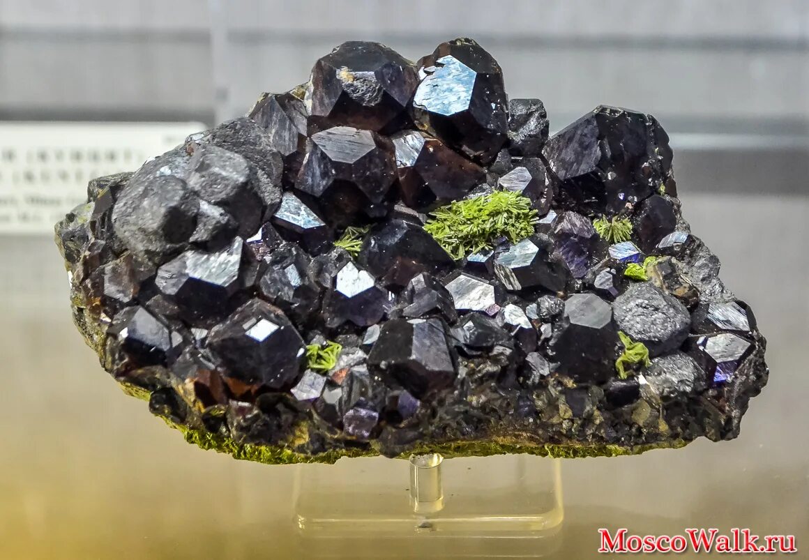 Апатит / минерал. Ильменорутил минерал. Ильменит титанистый железняк. Ильменит минерал челябинская область. Титановый минерал 5.