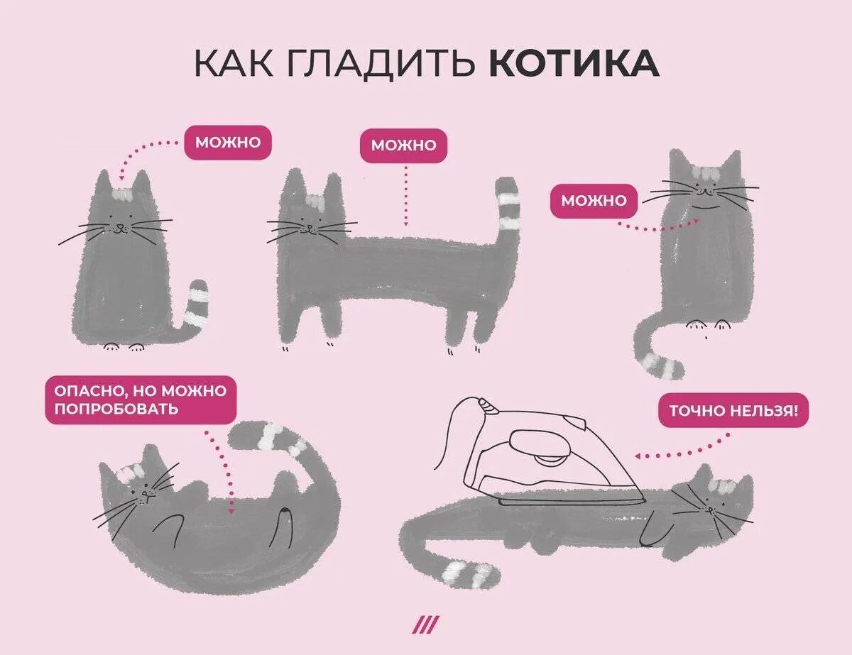 Как правильно стать. Схема кота. Как гладить кошку. Как правильно гладить кота. Где можно гладить кошку.