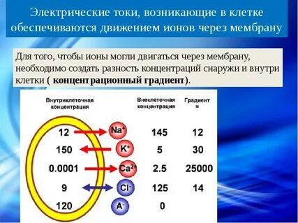 Электрический заряд клеток