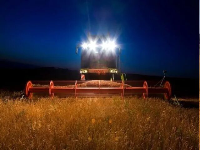 Комбайн ночью в поле фото Combine harvester gathers the wheat or corn at the night illuminated the way by
