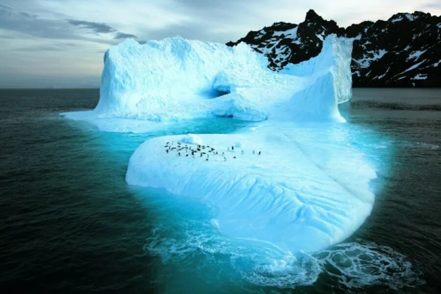 Большой остров покрытый льдами. Уэдделла Антарктида. Пауль Никлен Антарктика. Ледовитый океан Айсберг.