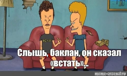 Да что вы говорите. Лекарство от бабской истерики картинки. Мем с двумя собаками. Да ты что картинки. Это не я сказала это он.