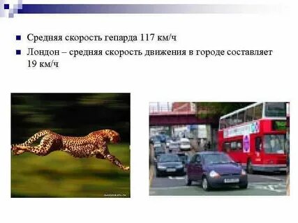 Скорость гепарда км ч