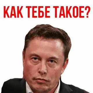 Телеграм маск