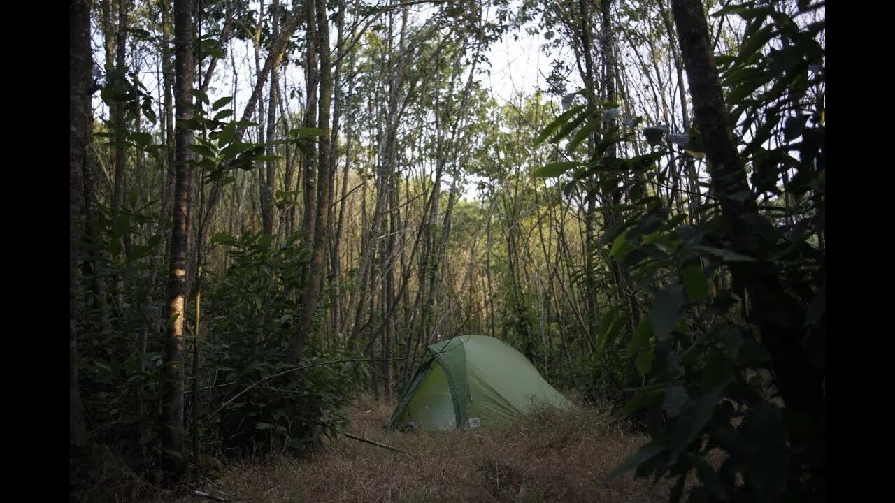 Хоррор палатка. Палатки в лесу хоррор. Тру кемпинг.