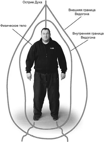 Поверхность геометрического тела. Границы тела. Множество всех граничных точек фигуры её. Граница тела это. Границы туловища.