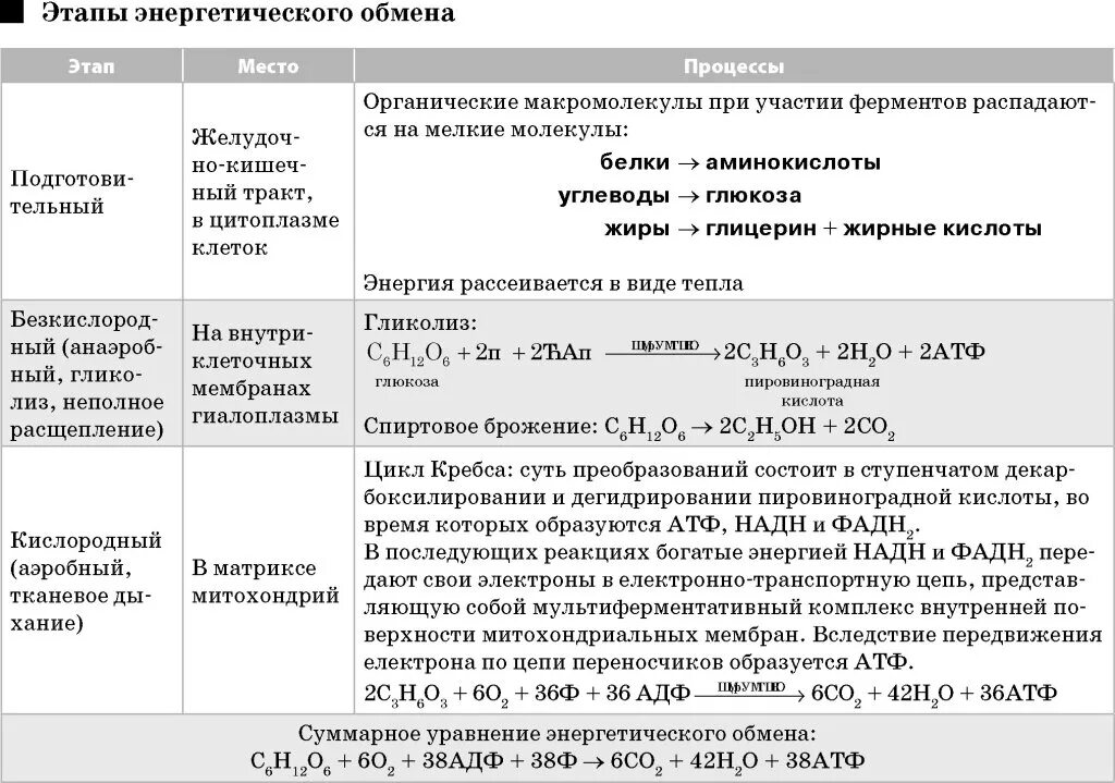 Пвк сколько атф. Этапы энергетического обмена таблица 9 класс биология. Этапы энергетического обмена таблица ЕГЭ. Этапы энергетического обмена ЕГЭ биология. Таблица по биологии 9 класс этапы энергетического обмена.