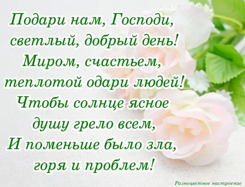 Пожелание светлого доброго. Пожелания всего самого доброго и светлого. Пожелания светлого дня. Самого светлого и доброго вам желаю.