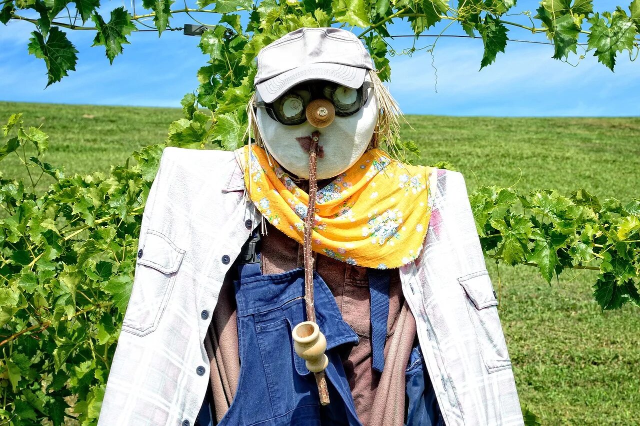 Scarecrow