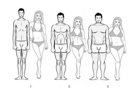 Body type 2