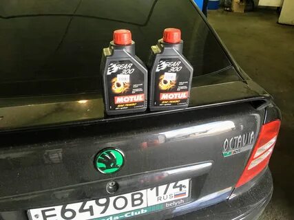 Масел тур