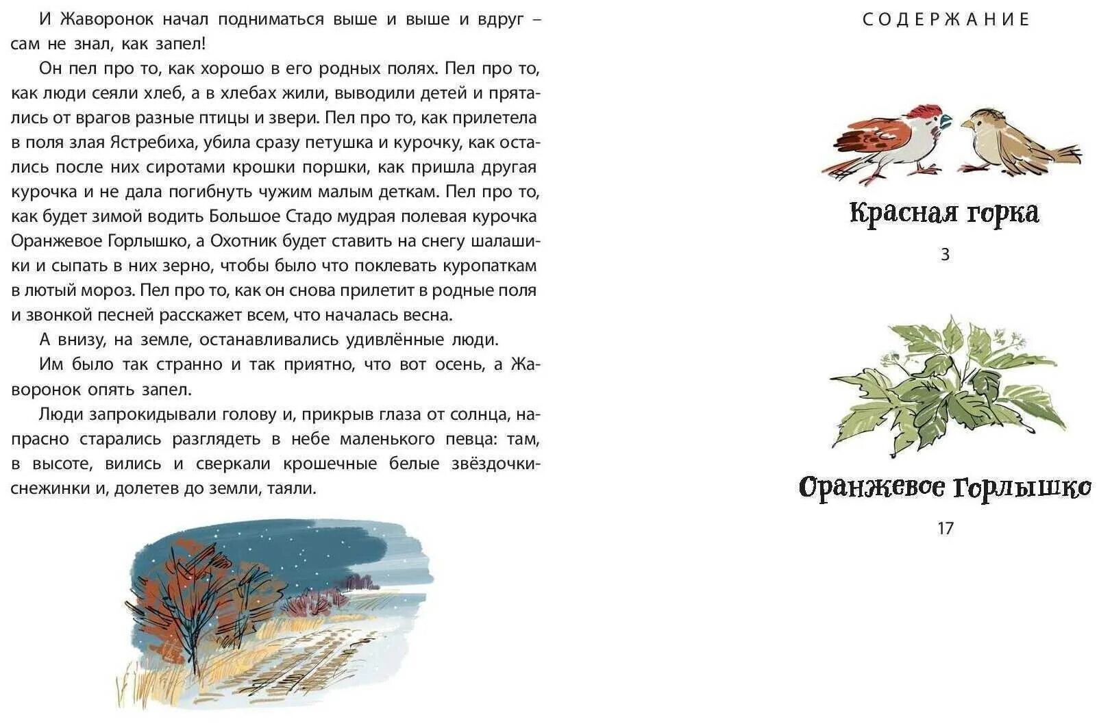 Читательский дневник бианки оранжевое. Бианки рассказ оранже горлышко. В В Бианки оранжевое горлышко Мурзук. Бианки оранжевое горлышко книга. Бианки оранжевое горлышко Издательство художник.