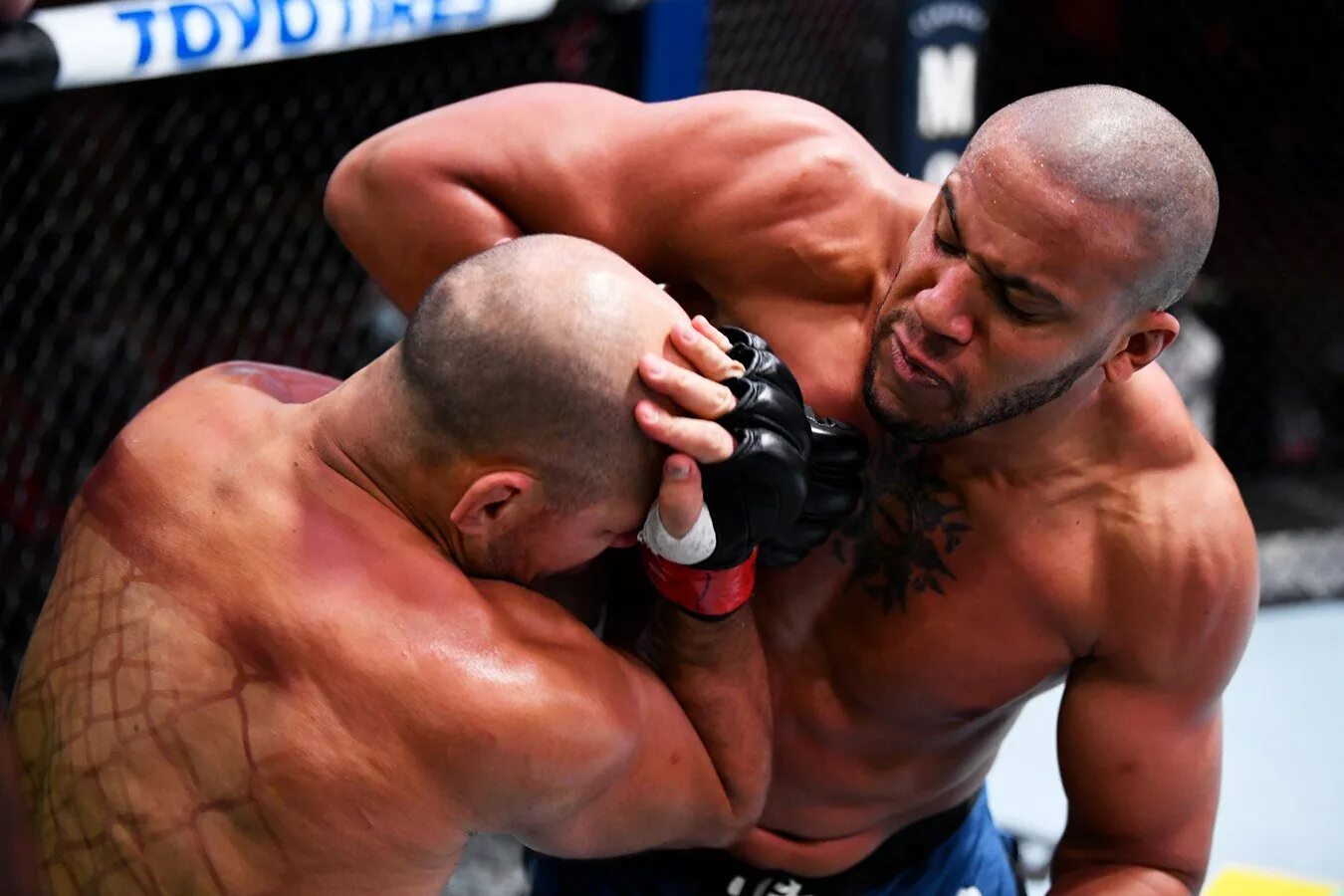Ман сантос. Дос сантос. сирил ган боец ufc. джуниор дос сантос. дос сантос боец.