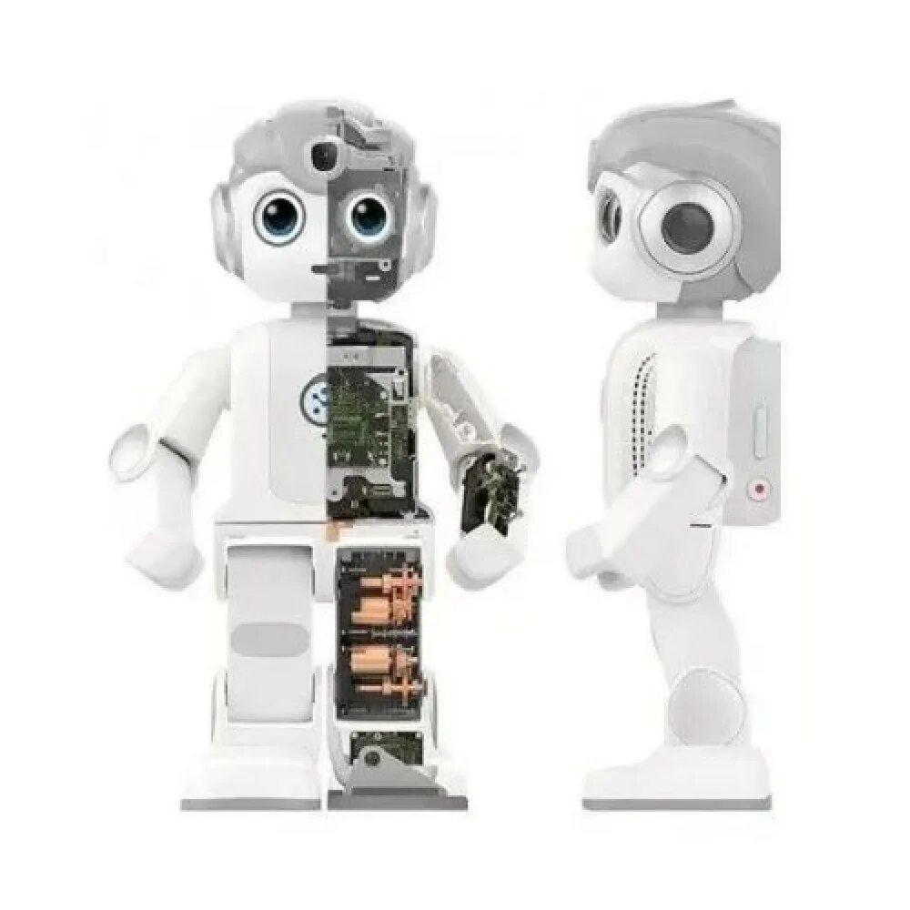Alpha robot. Alpha mini. роботы ubtech alpha 2. робот альфа мини. робот мини убтич 1про 15см alpha за 2тысячи.
