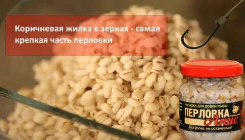 Перловка на карася