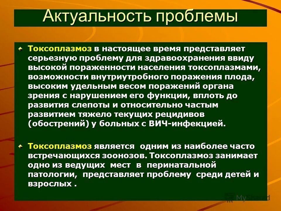 Как выявить токсоплазмоз у человека. Токсоплазмоз актуальность. токсоплазмоз локализация. профилактика токсоплазмоза у человека. токсоплазмоз специфическая профилактика.