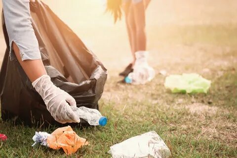 Clean up litter
