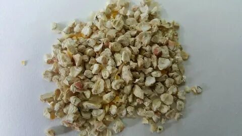 Кукурузные зародыши