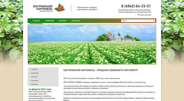 Тимирязевский семенной картофель. Костромской картофель. магазин семенного картофеля в малаховке.