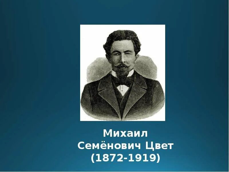 Презентация на тему "Молекулярные процессы синтеза у растений" - скачать бесплат