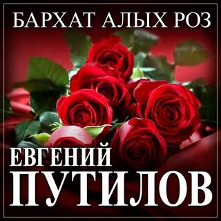 Я в красном бархате ты вся