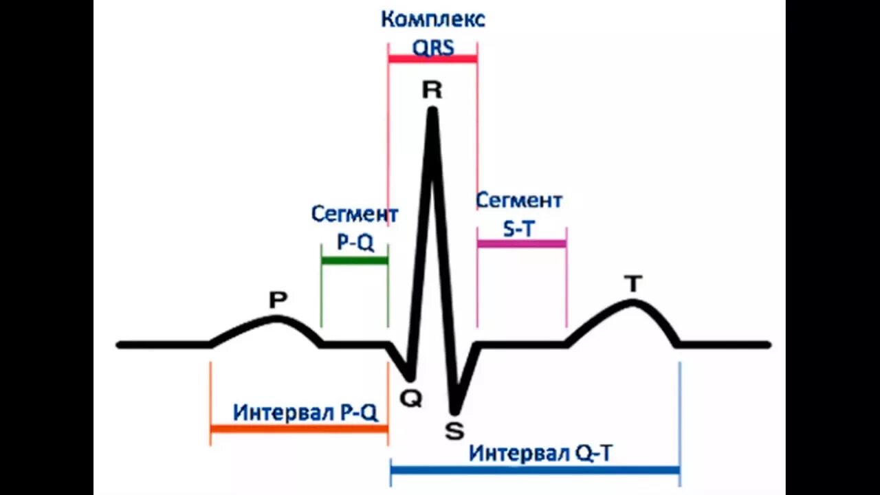 ЭКГ зубцы интервалы комплексы сегменты. Нормальная ЭКГ зубцы сегменты интервалы. Электрокардиограмма зубцы и интервалы. Продолжительность зубцов и интервалов ЭКГ В норме. Экг со скольки