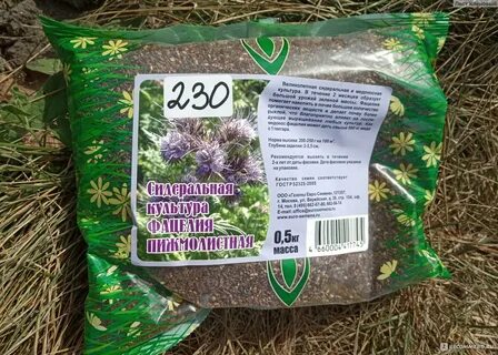 Фацелия семена для чего применяют