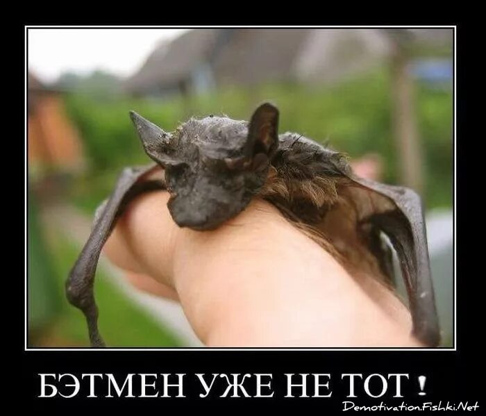 Такая есть уже