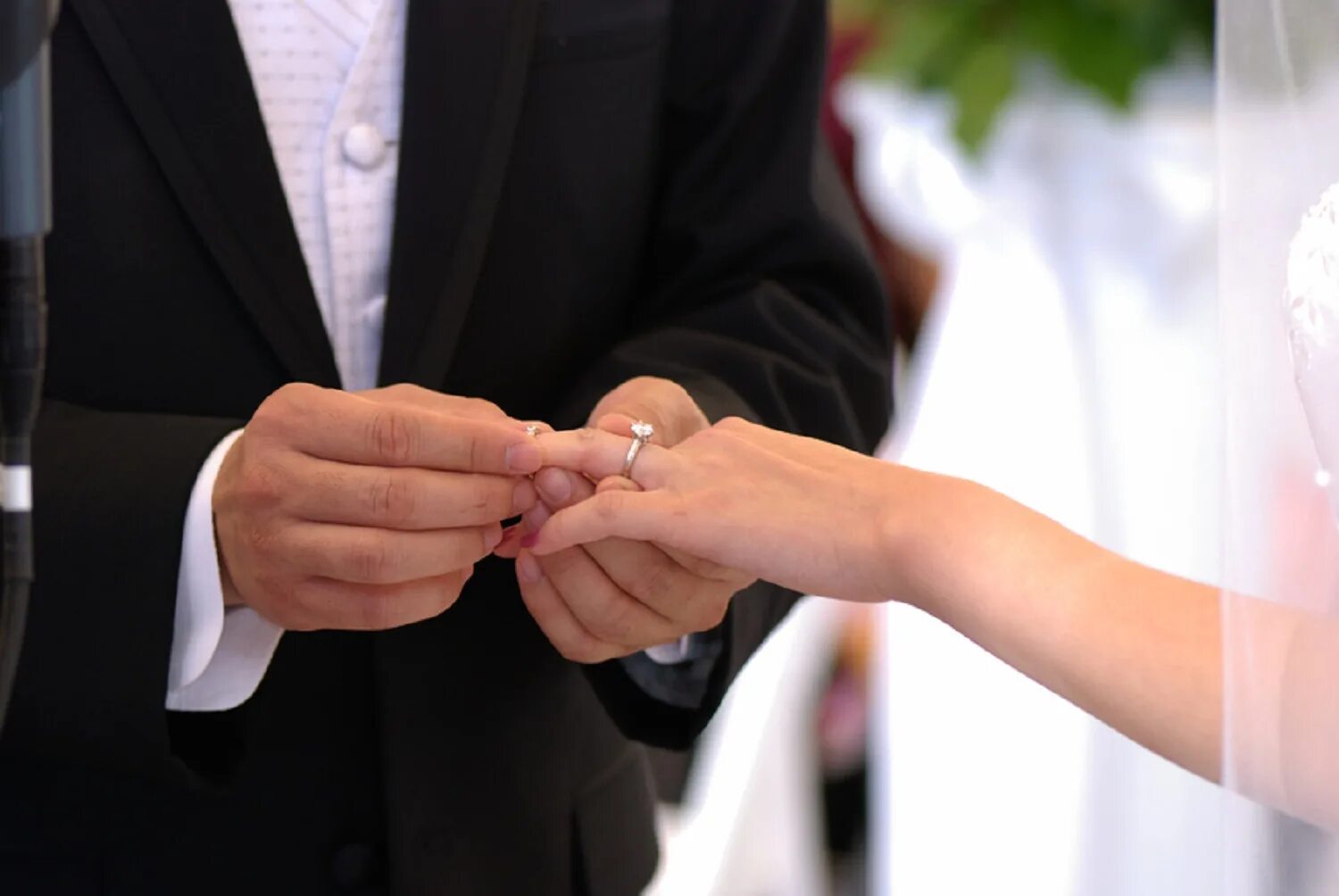 ЗАГС кольца. Вступающим в брак. Брак свадьба. Свадьба надевают кольца.