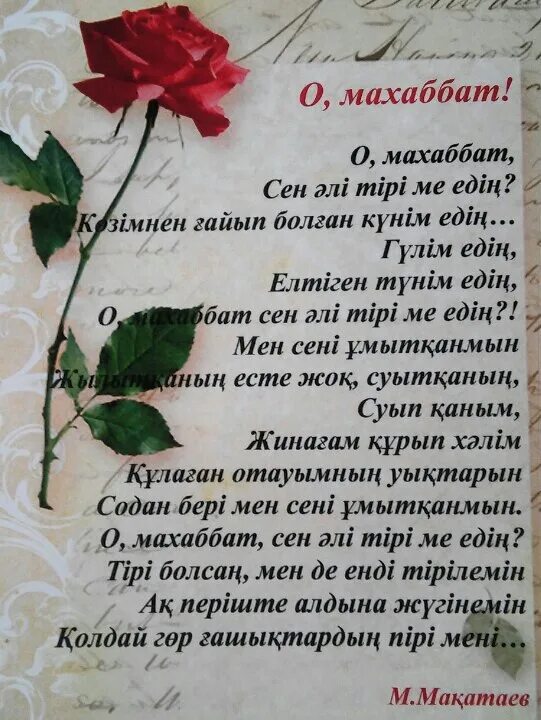 Ал махаббат. Махаббат с днем рождения. с днем рождения махаббат открытка. красивое поздравление махаббат с днем рождения. махаббат имя.