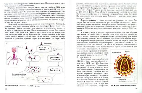 Биология 10 класс краткое содержание параграфов
