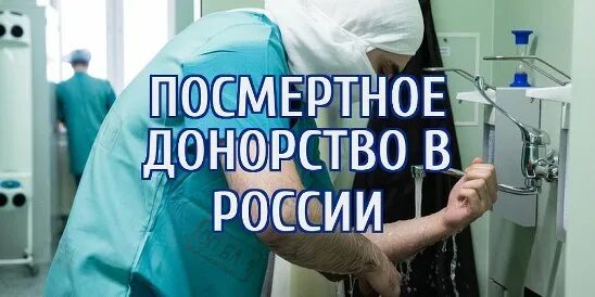 Отказ от посмертного донорства. Посмертное донорство органов в России.