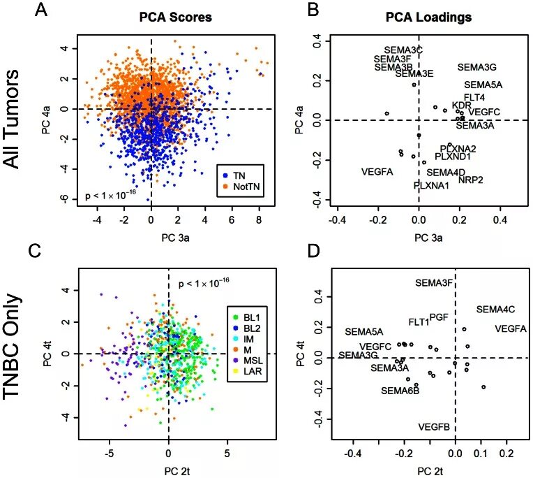 Pca components. Pca метод главных компонент. principal component analysis pca метод главных компонент. pca алгоритм. pca графики.