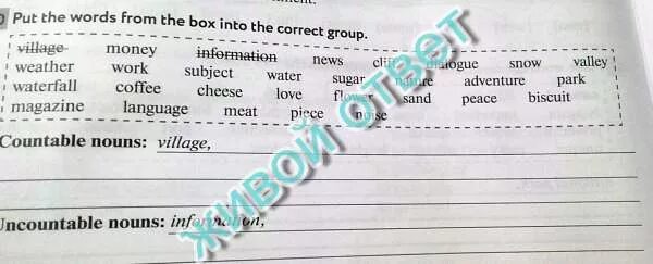 Put the words the correct group. Put in the words from the box. put the words from the box into the correct group. put the words in the box. put the nouns in the correct box.