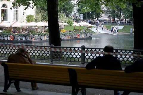 Стрельба на патриарших