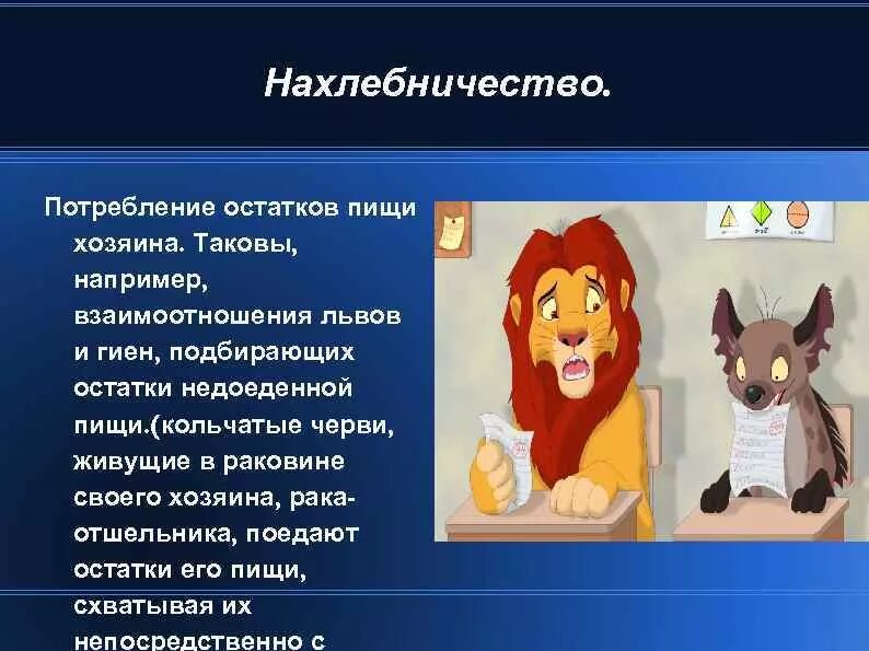 Межвидовые рецензенты 18. ,межвидовые межвидовые рецензенты. межвидовые рецензенты аниме. межвидовые рецензенты девочки. межвидовые резиденты.