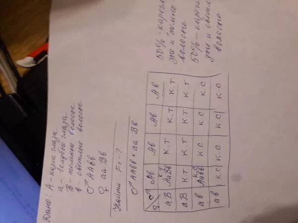 У отца глаза зеленые у мамы карие какие будут у ребенка таблица. Цвет глаз родителей и детей. Цвет глаз родителей и детей таблица. Генетика цвет глаз наследование таблица. Вероятность цвета глаз.