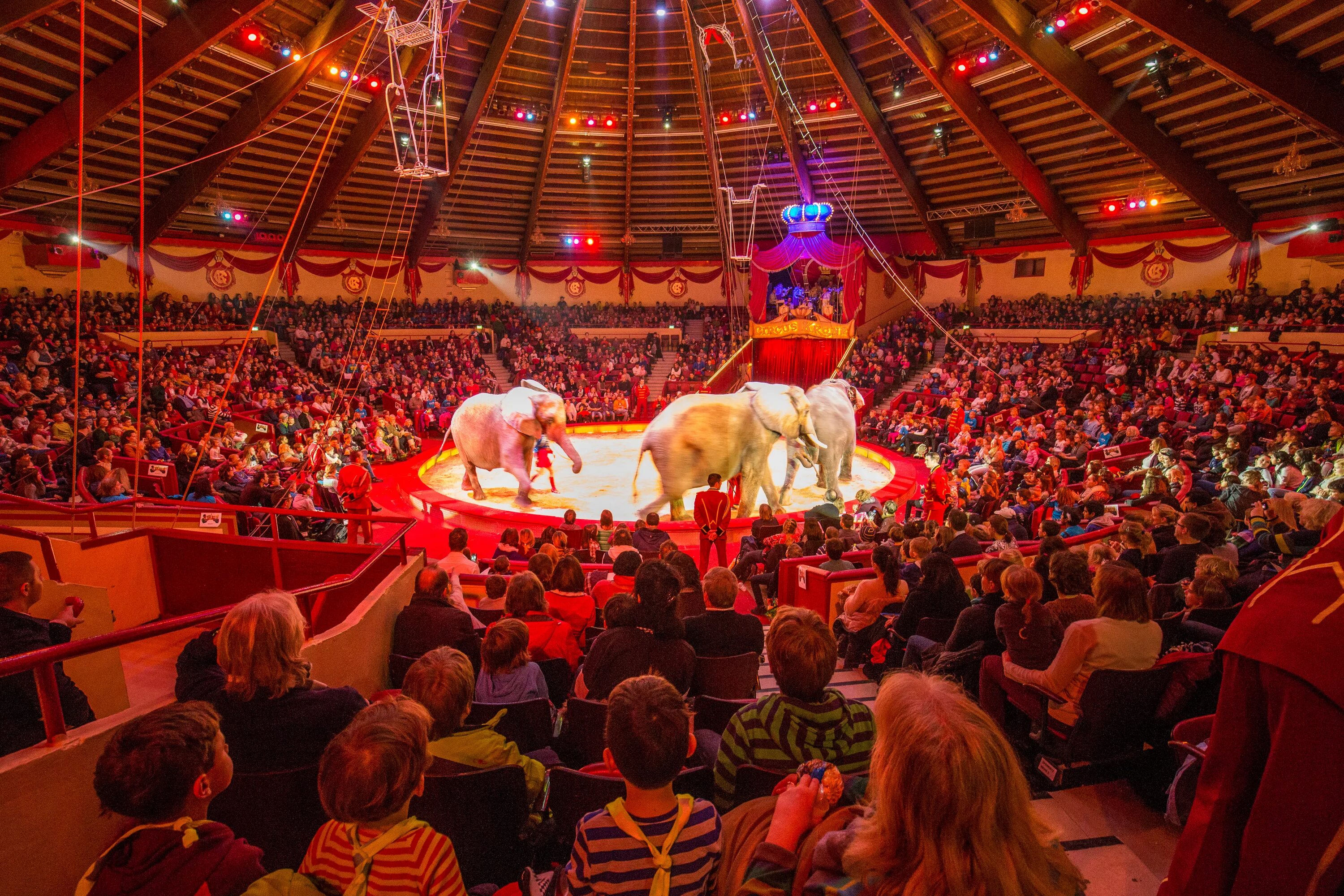 Цирк русское поле. Circus Krone Мюнхен. Цирк крона Мюнхена. Цирк в Мюнхене. На арене цирка.