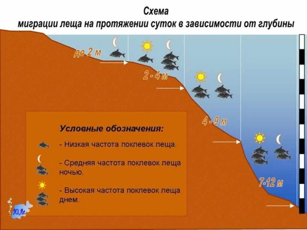 Шел в глубь. Перспективные места для ловли леща на фидер. Схема мест ловли леща река. Выбор места для ловли леща. Места ловли леща на реке.