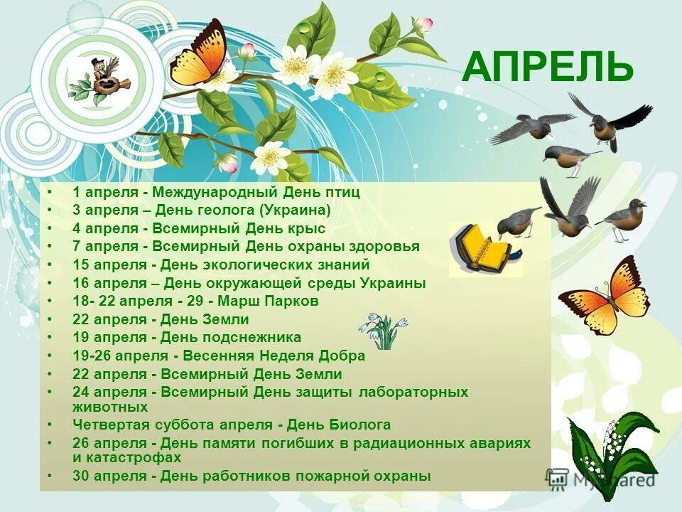 Какой праздник сегодня в россии 4 апреля. День птиц. Международный день птиц. Международный день птиц мероприятия. Праздник птиц в апреле.