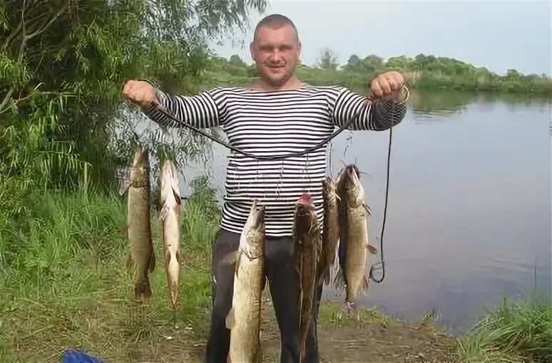 Бородино рыбалка. Рыбалка бородино.