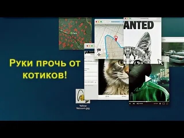 Руки прочь от котиков