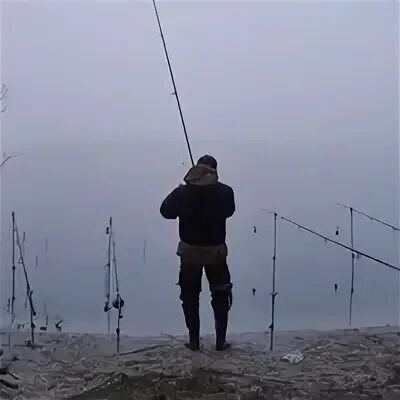 Рудов ростов