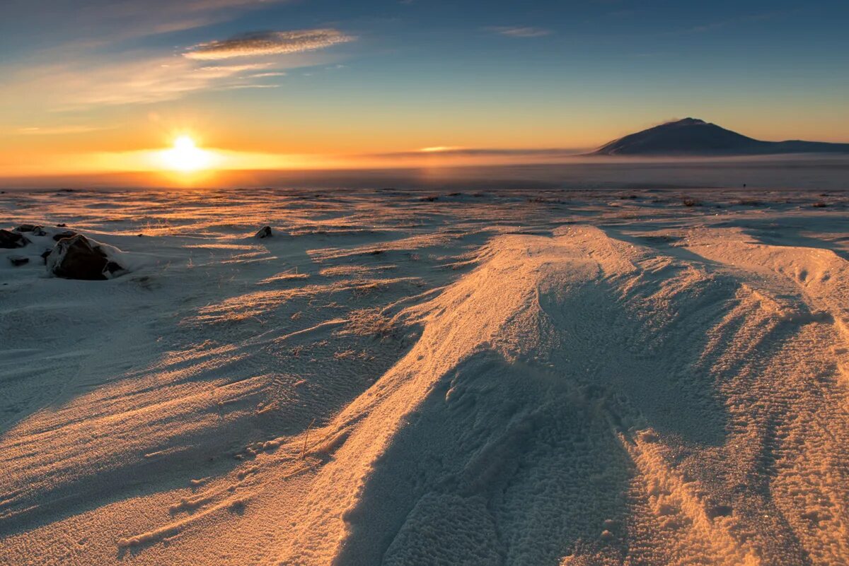 Анадырь тундра. Климат чукотки. Остров врангеля флора. Чукотский автономный округ тундра. Чукотка природа.
