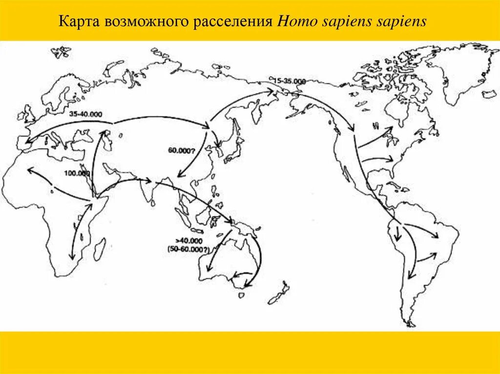 Расселение древних людей. Карта расселения homo sapiens sapiens. Карта расселения хомо сапиенс. Карта миграции хомо сапиенс. Составьте карту расселения homo sapiens sapiens..